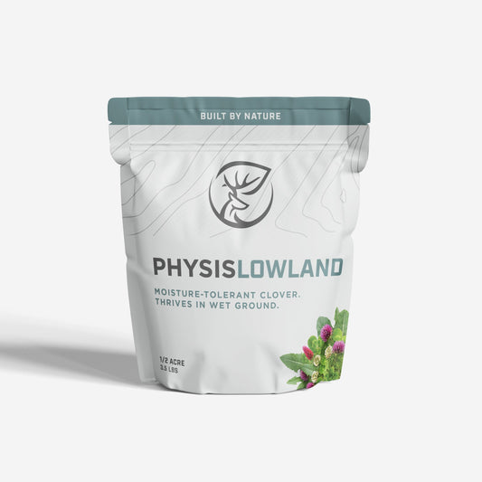 LOWLAND