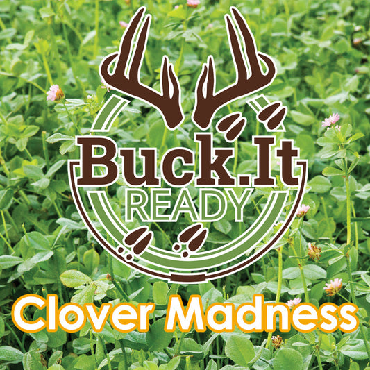 Clover Madness